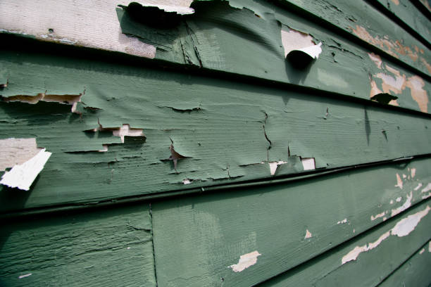 Shed Removal in Independence, KY