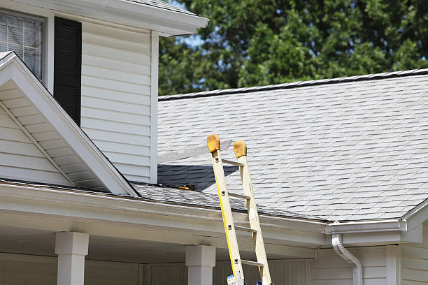 Best Attic Cleanout  in Independence, KY